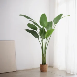 Kunsttaim "Paradiisilinnulill"