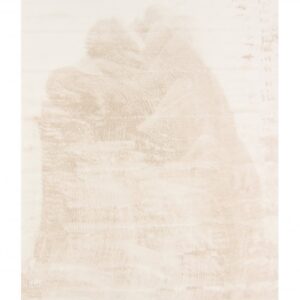 Pehme karvaga vaip Aranga beež